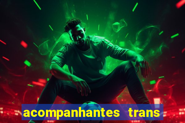 acompanhantes trans baixada fluminense